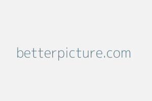 Image of Betterpicture