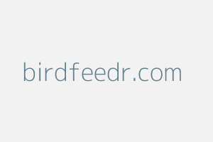 Image of Birdfeedr