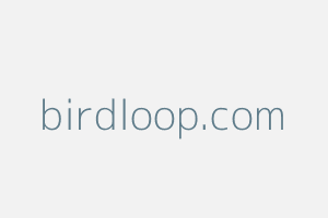 Image of Birdloop