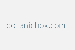 Image of Botanicbox