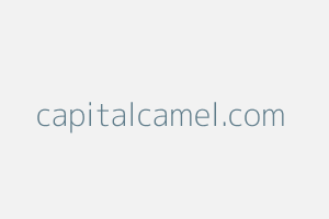 Image of Capitalcamel