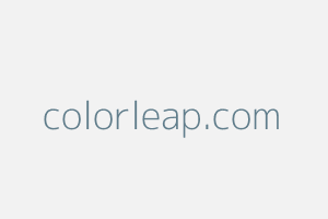 Image of Colorleap