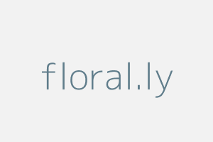 Image of Floral.ly