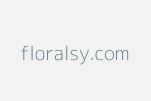 Image of Floralsy
