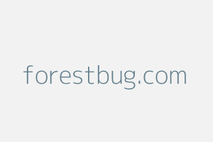 Image of Forestbug