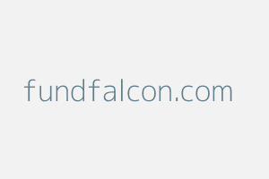 Image of Fundfalcon