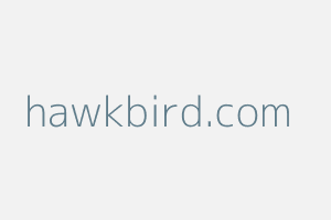 Image of Hawkbird