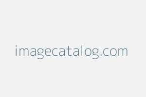 Image of Imagecatalog
