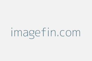 Image of Imagefin