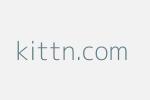 Image of Kittn