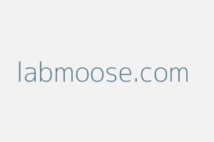 Image of Labmoose