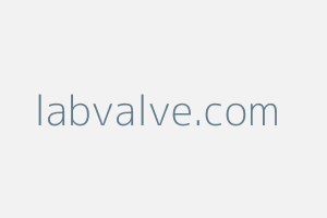 Image of Labvalve
