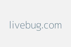 Image of Livebug