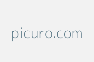 Image of Picuro