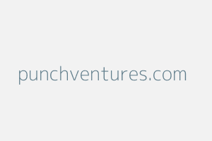 Image of Punchventures