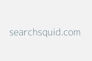 Image of Searchsquid