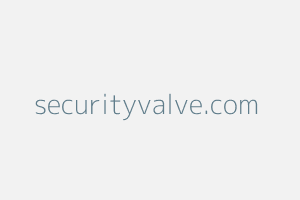 Image of Securityvalve