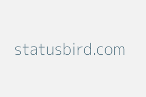 Image of Statusbird