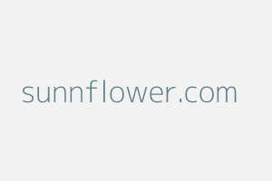 Image of Sunnflower