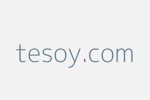 Image of Tesoy