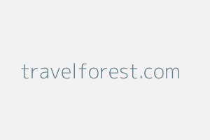 Image of Travelforest