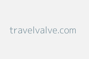 Image of Travelvalve