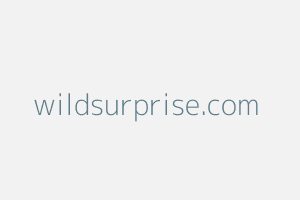 Image of Wildsurprise