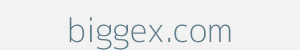 Image of biggex.com