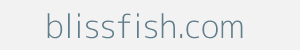 blissfish.com Image of blissfish.com