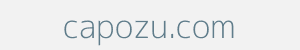Image of capozu.com