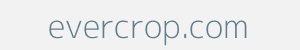 Image of evercrop.com