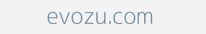 Image of evozu.com