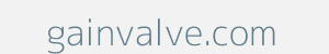 Image of gainvalve.com
