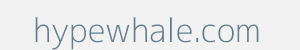 Image of hypewhale.com