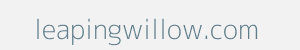 Image of leapingwillow.com