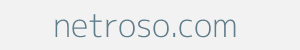 Image of netroso.com