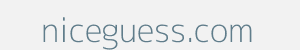 Image of niceguess.com