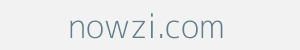 Image of nowzi.com