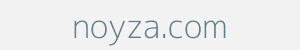 Image of noyza.com