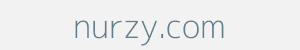 nurzy.com Image of nurzy.com