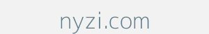 Image of nyzi.com