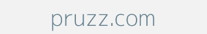 Image of pruzz.com