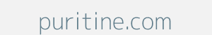 Image of puritine.com