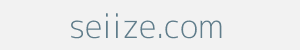 Image of seiize.com