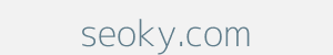 seoky.com Image of seoky.com