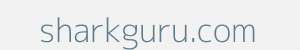 sharkguru.com Image of sharkguru.com