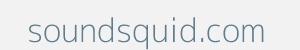 Image of soundsquid.com