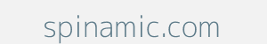 spinamic.com Image of spinamic.com