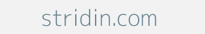stridin.com Image of stridin.com