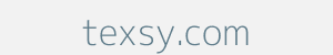 Image of texsy.com